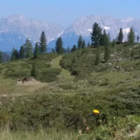 Vakantiehuis Der Grosse Stadl