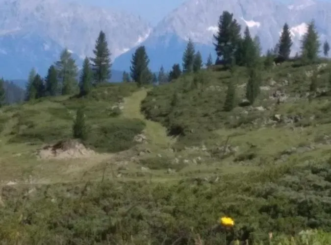 Сasa de vacaciones Der Grosse Stadl